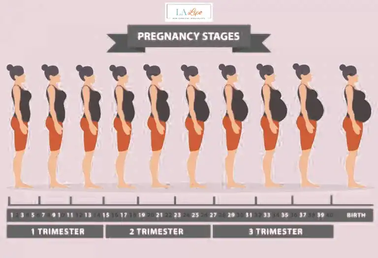 First Trimester (Weeks 1–12): Early Changes You Might Not Notice Derby